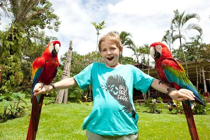 Bali Bird Park Admission Ticket with Hotel Transfer - Practical photo and comfort tips that make a difference