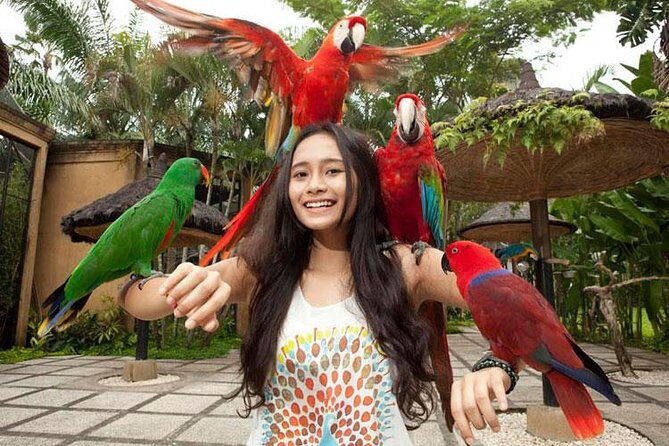 Bali Bird Park Admission Ticket with Hotel Transfer - Who this is best for