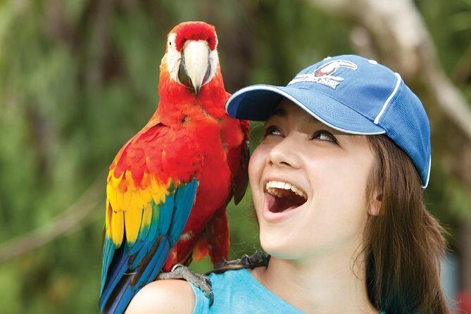 Bali Bird Park Admission Ticket - Arriving and Timing Your 3-Hour Bird Park Visit