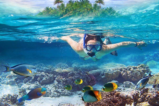 Bali Blue Lagoon Snorkeling Experience - Why Padangbai’s Blue Lagoon + Tanjung Jepun Works