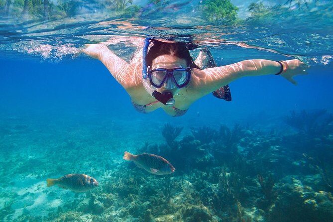 Bali Blue Lagoon Snorkeling Experience - What’s included: gear, lunch, and the extras that save hassle