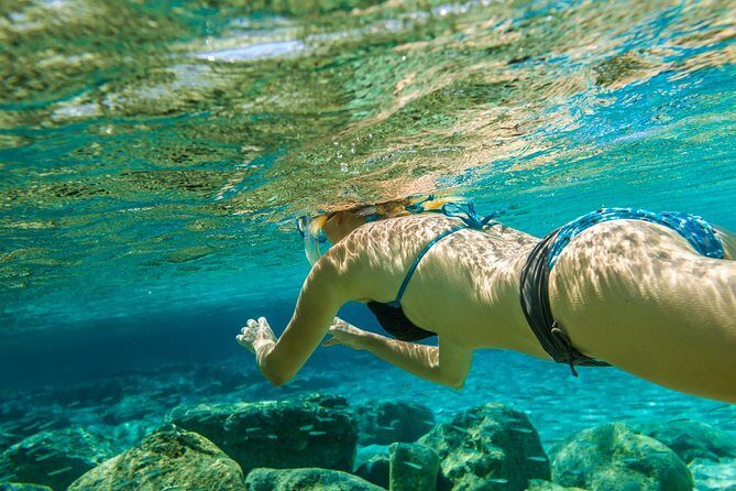 Bali Blue Lagoon Snorkeling Experience - Price and booking timing: is $49.09 worth it?