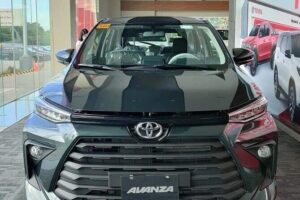 Bali Car Hire with Driver - Where You Can Go: Ubud, Canggu, Tanah Lot, Seminyak, and More