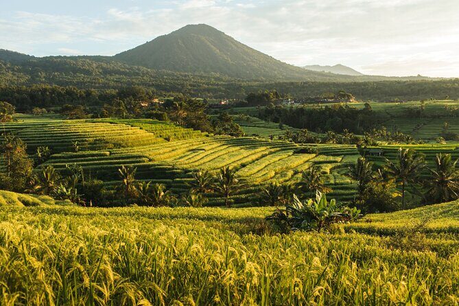 Bali Charm: Full-Day Bedugul and Tanah Lot Tour (UNESCO) - All Inclusive Tickets - Jatiluwih Green Land (UNESCO): how the rice terraces teach you the point
