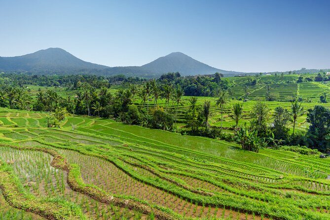 Bali Charm: Full-Day Bedugul and Tanah Lot Tour (UNESCO) - All Inclusive Tickets - Price and value: why $56.54 feels fair (and where costs can appear)