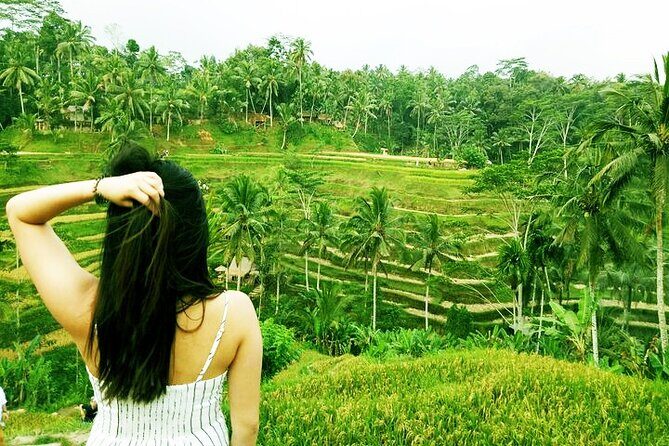 Bali Cooking Class and Ubud Sightseeing Tour - Sacred Monkey Forest Sanctuary: close encounters, so mind your behavior