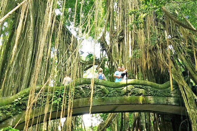 Bali Cooking Class and Ubud Sightseeing Tour - Transport and timing: why the 8 hours feel doable