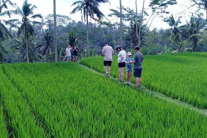 Bali Countryside Cycling Adventure - The Ubud-to-countryside rhythm: why this bike day feels easy to enjoy