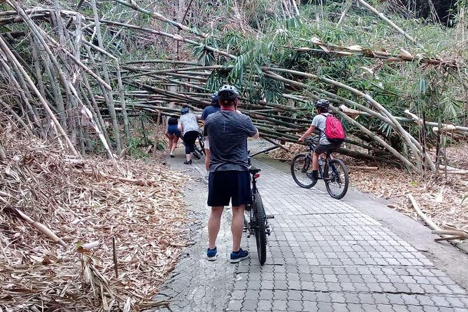 Bali Countryside Cycling Adventure - The countryside start in Kayubihi: quiet roads and beginner-friendly vibes