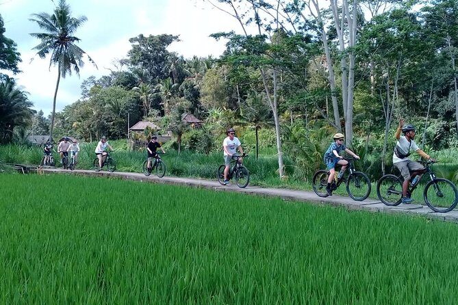 Bali Countryside Cycling Adventure - The temple stop in rice paddies: Pura Taman Narmada Bali Raja