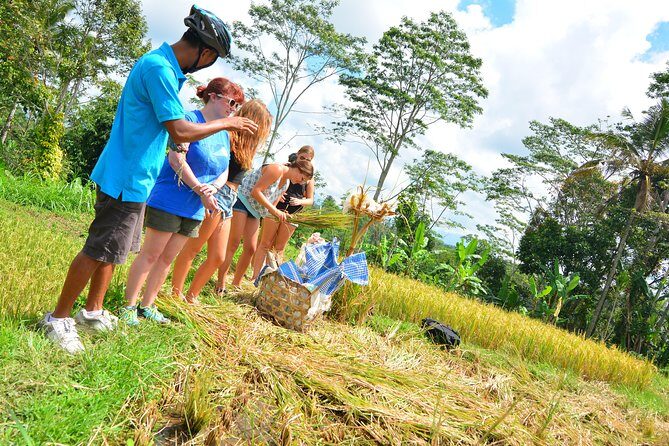 Bali Countryside Cycling Tours - Lunch at the end: fuel that actually tastes good