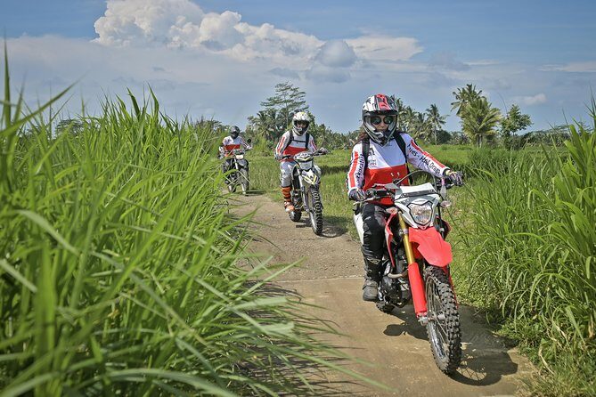 Bali Dirt Bike Adventure - Tegalalang Rice Terrace: short ride time, big Bali-style visuals