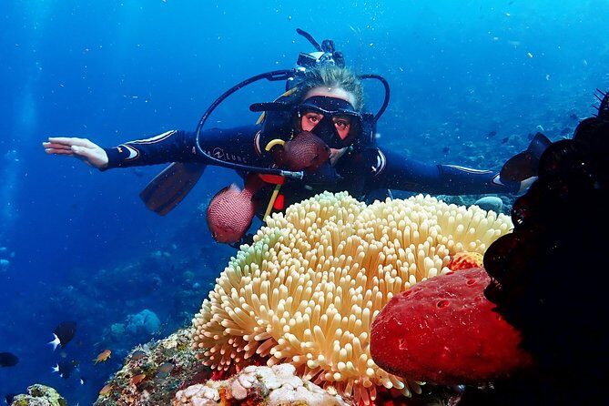 Bali Diving for Beginners: Tulamben Liberty Wreck - The USS Liberty Wreck: What You’ll Be Looking At