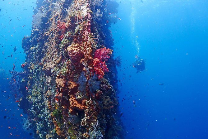 Bali Diving for Beginners: Tulamben Liberty Wreck - Transfers, Timing, and Group Size: Practical Details That Change Your Comfort