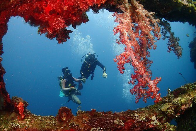 Bali Diving for Beginners: Tulamben Liberty Wreck - What’s Included (and How That Affects Value)