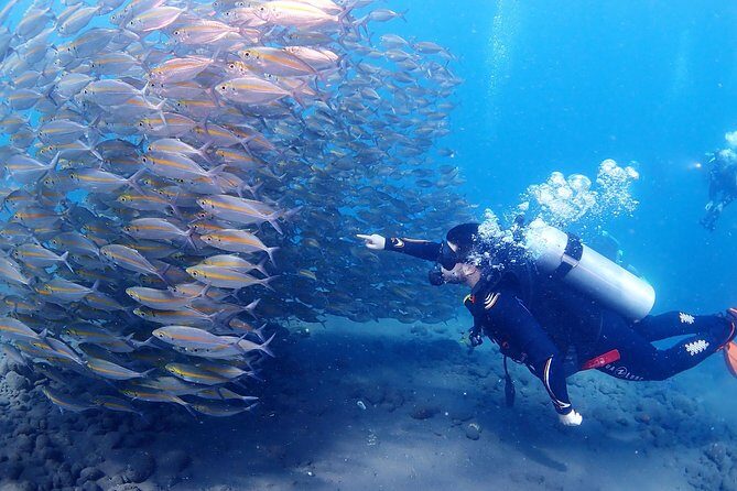 Bali Diving for Beginners: Tulamben Liberty Wreck - Safety Notes You Should Not Skip