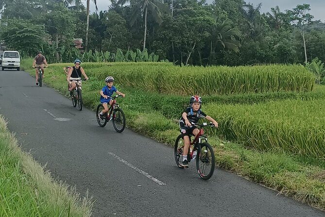 Bali Downhill Natural Cycling Tour & visit Volcano - Mostly Downhill: Village Roads, Safety, and Your Pace