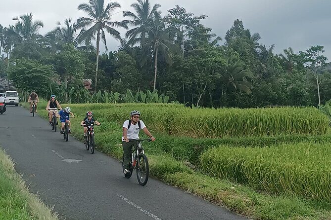 Bali Downhill Natural Cycling Tour & visit Volcano - Temples, Traditional Homes, and Rice Paddies on Foot