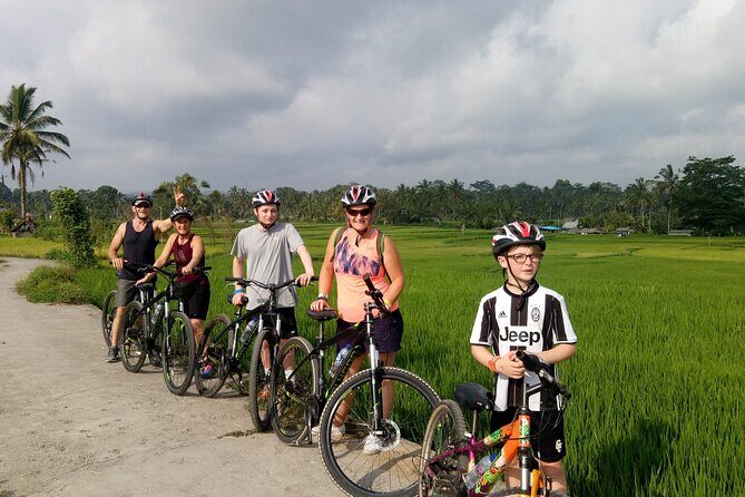 Bali Downhill Natural Cycling Tour & visit Volcano - The Mt Batur Crater Lake Viewpoint You Plan Around