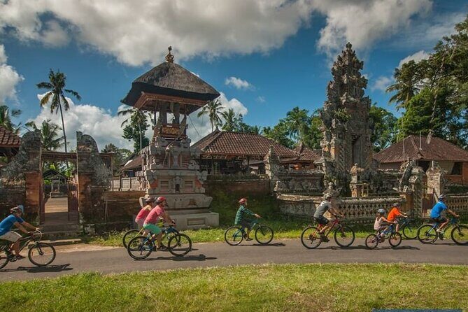Bali Eco & Educational Cycling Tour - The Ride: Downhill Bikes, Real Villages, and Rice Paddies