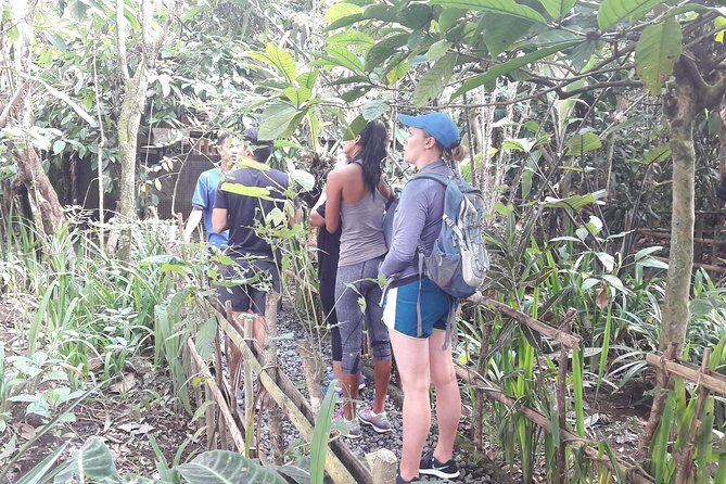 Bali Eco & Educational Cycling Tour - Safety and Baby Seats: Comfort for Families