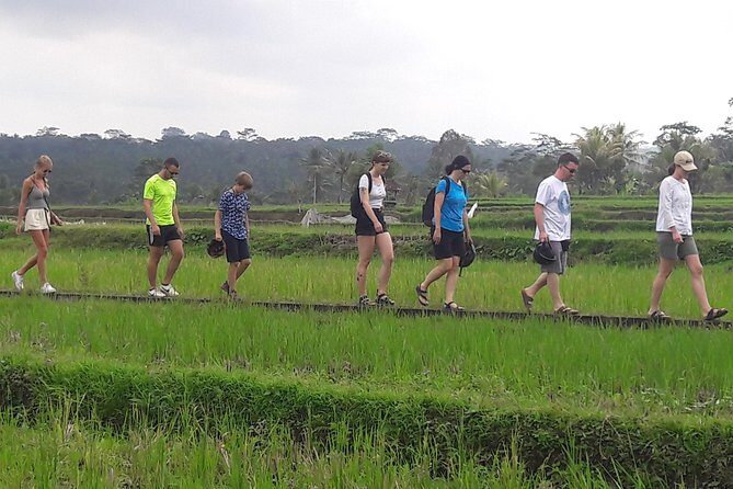 Bali Eco & Educational Cycling Tour - Group Size and the Feeling of the Day