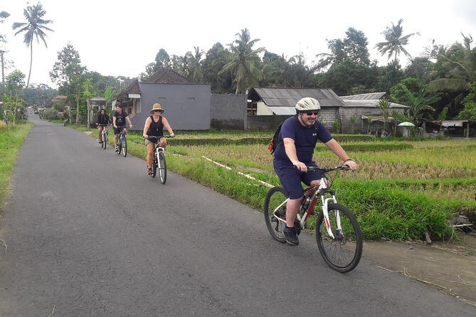 Bali Eco & Educational Cycling Tour - Price and Value: What $48.87 Gets You