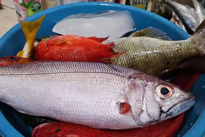Bali: Fishing Charter Private Boat - Who should book this Bali fishing charter?