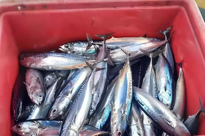 Bali: Fishing Charter Private Boat - Where you fish: Gili Mimpang, Biaha, Pekong, and Mount Agung views