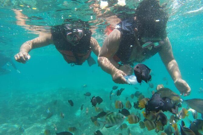 Bali: Fishing trip & Blue Lagoon Snorkeling with Lunch - Ubud Pickup and a Smooth 5-Hour Sea Day