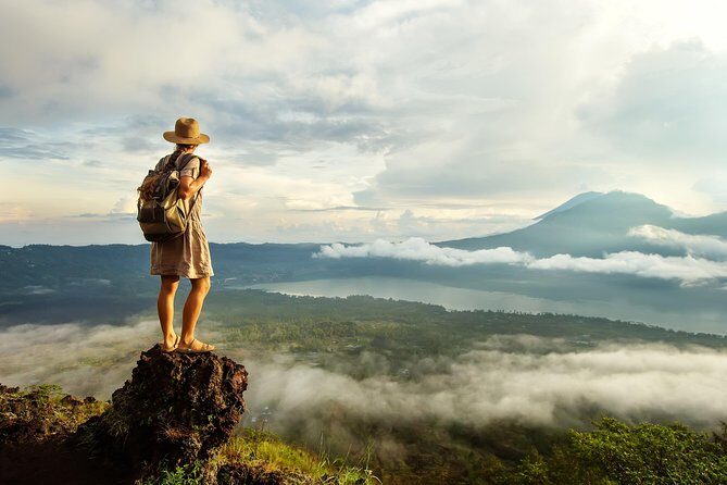 Bali Full Day Tour: Highlights of Ubud and Hidden Waterfall - The Driver and the Pace: Why This Tour Feels Efficient