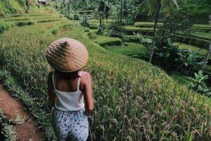 Bali Half Day Trip : All-Inclusive and Private Guided Tour - Value for $49: what you’re paying for and what you’re not