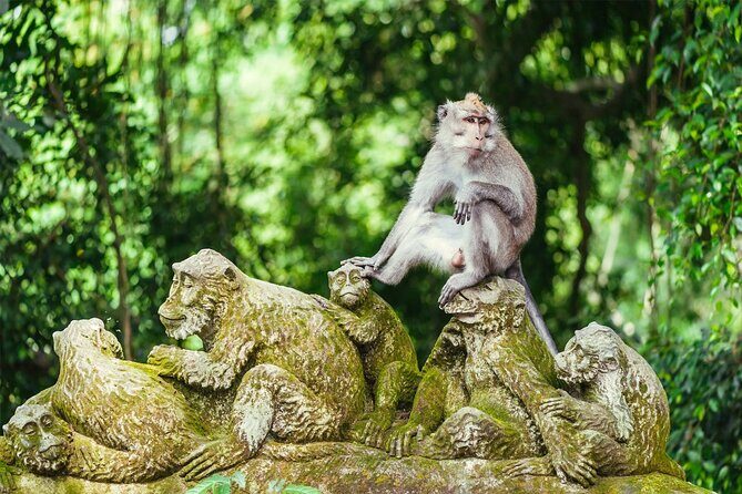 Bali Half Day Trip : All-Inclusive and Private Guided Tour - Stop 1: Sacred Monkey Forest Sanctuary and the 12.5-hectare jungle walk