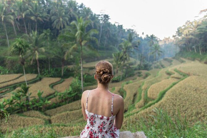 Bali Half Day Trip : All-Inclusive and Private Guided Tour - What’s included (and how it changes your planning)