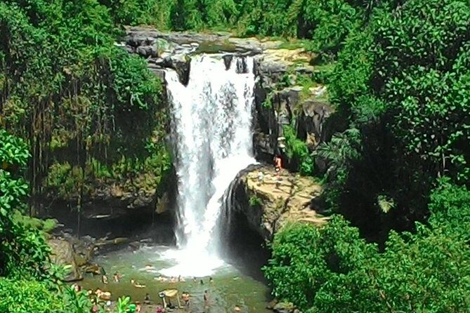 Bali Hindu temple, Rice terrace, Waterfall -All Inclusive - Stop 1: Bali Charm Day Tours and the quick setup