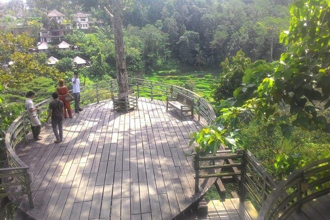 Bali Hindu temple, Rice terrace, Waterfall -All Inclusive - Stop 6: Tegenungan Waterfall for a real nature moment