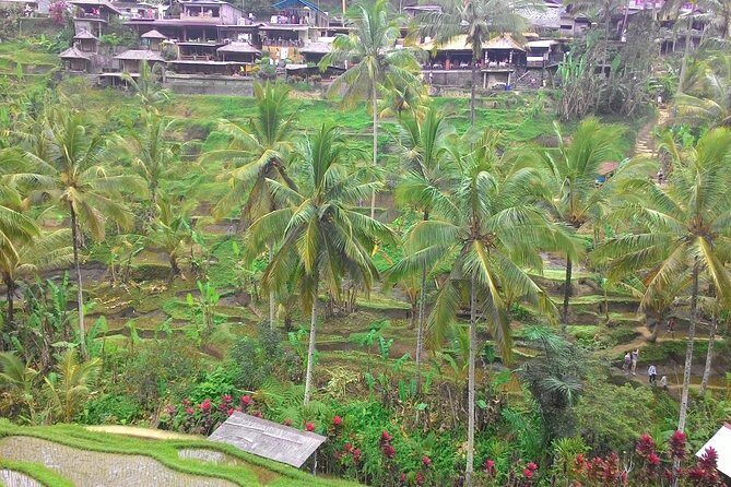 Bali Hindu temple, Rice terrace, Waterfall -All Inclusive - Stop 2: Pura Puseh Desa Batuan and the Balinese ornament factor