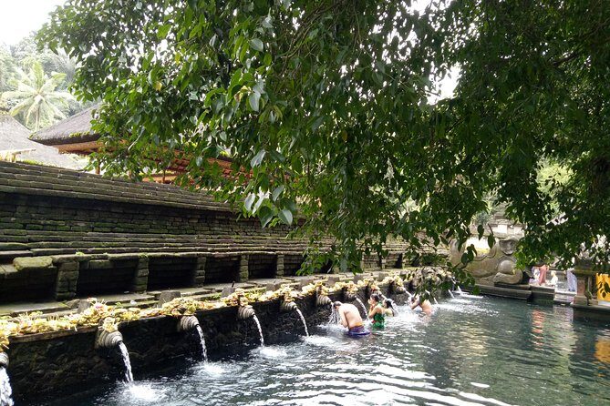 Bali Holy Bathing Ritual and Ubud Highlights tour - Tegalalang Rice Terraces: Dramatic Views With Time to Walk