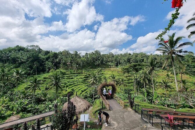 Bali Holy Bathing Ritual and Ubud Highlights tour - Transport, Tickets, and the Real Meaning of “Value” Here