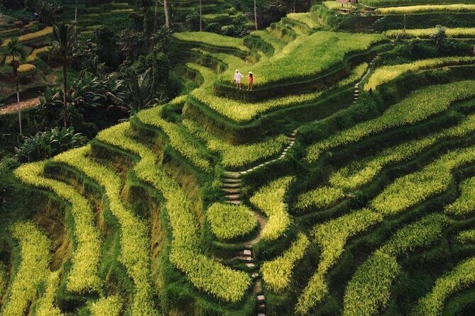 Bali Instagram Tour - All Inclusive - Tegalalang Rice Terrace at golden hour: irrigation lessons