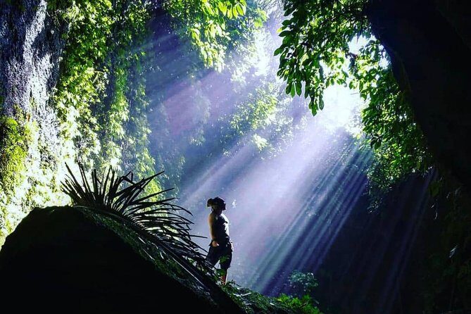 Bali Instagram Tour: Gate of Heaven, Swing and Waterfall Day Tour - Coffee tasting in the jungle: a calm bonus between the highlights
