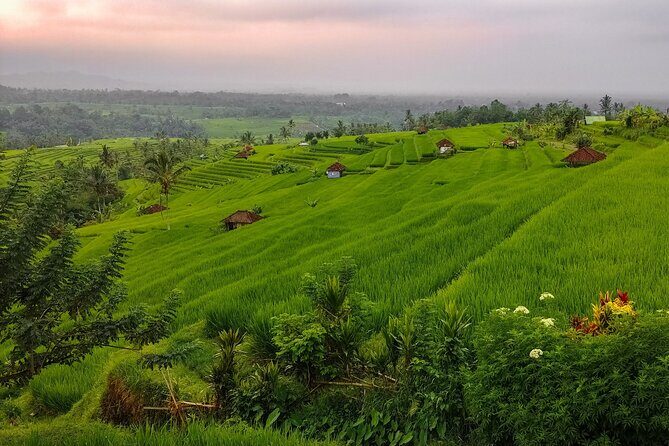Bali Instagram Tour - Lempuyang Bali Gate of Heaven - Tickets, what’s covered, and whether $69.69 is actually good value