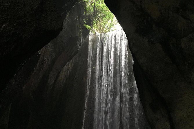 Bali Instagram Tour: The Most Popular Spots ( Private All-Inclusive ) - Price and value for a $65 private Instagram tour