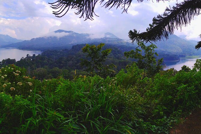 Bali Jungle Trekking and Lake Canoeing Tour - North Bali is cooler, quieter, and way more real