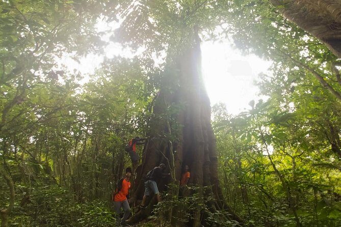 Bali Jungle Trekking and Lake Canoeing Tour - Twin lakes canoeing: calm water and thoughtful guide moments