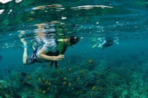 Bali Lembongan Island Beach Club Day Trip - Price and Logistics: Pickup, Timing, and How the Day Flows