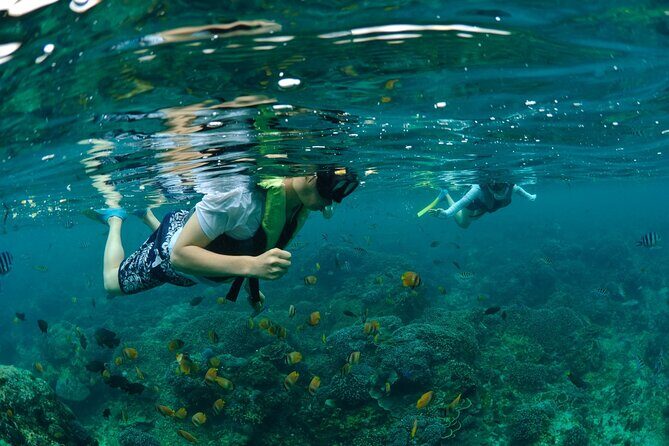 Bali Lembongan Island Beach Club Day Trip - Price and Logistics: Pickup, Timing, and How the Day Flows