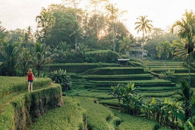 Bali : Northern Bali Private Day Trip with Transfer - Ulun Danu Beratan Temple: the classic lakeside photo stop