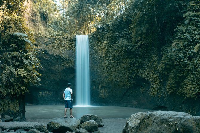 Bali : Private Car Charter with English Speaking Driver - Stop-by-Stop: Temples, Waterfalls, Rice Terraces, and Coast Icons