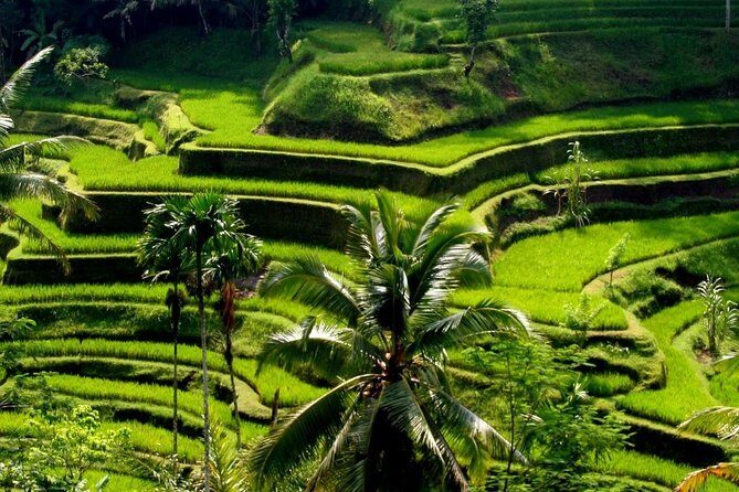 Bali : Private Car Charter with English Speaking Driver - What’s Included vs. What You’ll Pay Along the Way